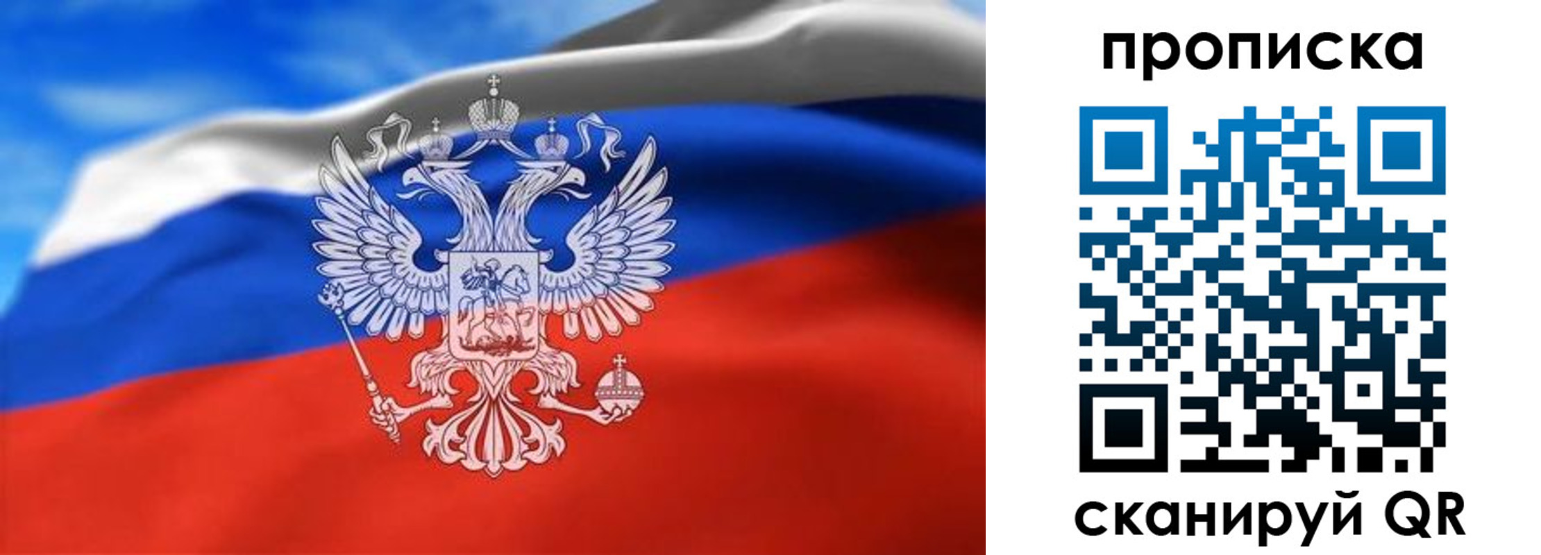 временная регистрация гарантия в Ногинске